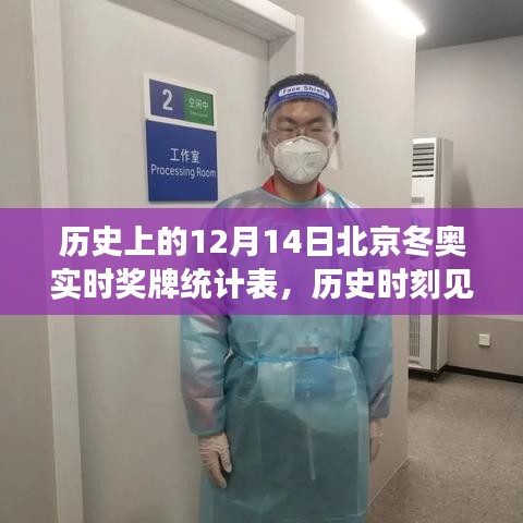 北京冬奥历史时刻见证荣耀，实时奖牌统计表揭示自信与成长之路