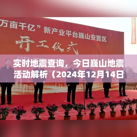 今日巍山地震活动解析及实时地震查询（2024年12月14日）