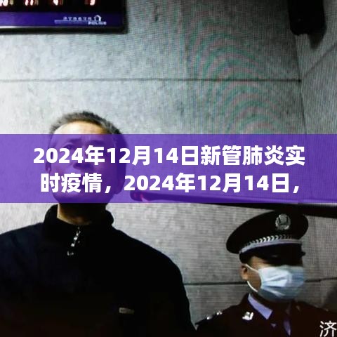 2024年12月14日新管肺炎实时观察与深度解析，疫情动态及应对策略