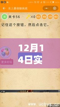 揭秘12月14日实时战线小程序，全面评测与详细介绍