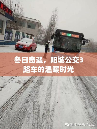 冬日奇遇，阳城公交3路车的温暖之旅