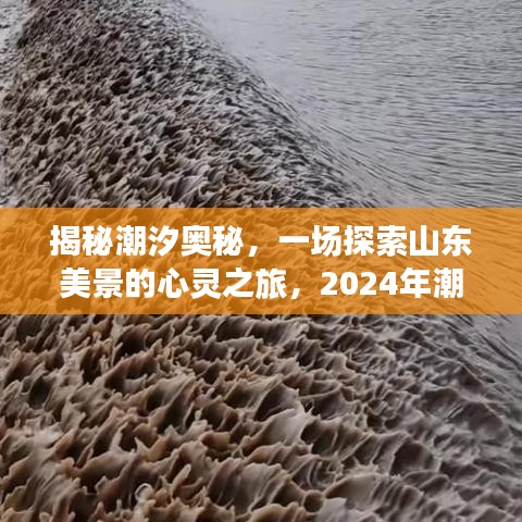 揭秘潮汐奥秘，启程山东美景探索之旅，2024年潮汐表预测与冒险计划启动