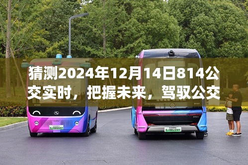 把握未来公交时刻，揭秘2024年12月14日814公交实时变化，成就自信与成就之路