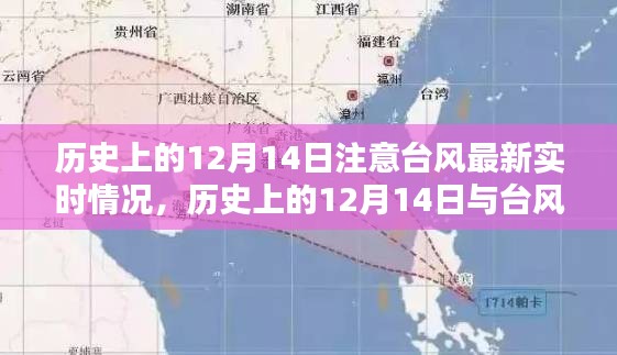 历史上的12月14日台风深度解析与实时关注，最新动态及关注焦点