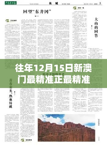 往年12月15日新澳门最精准正最精准：历史性的一刻回望与反思