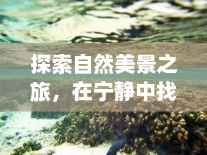 自然探索之旅，疫情下的心灵宁静与自我找寻的奇妙旅程