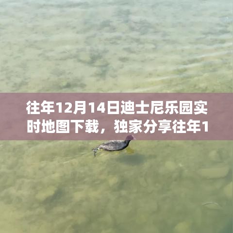 独家攻略，往年12月14日迪士尼乐园实时地图下载指南，畅游梦幻乐园不迷路！