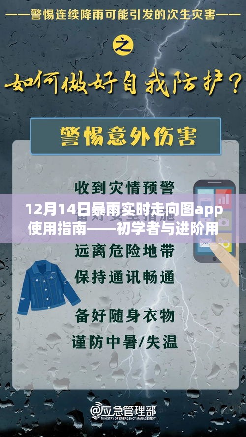 12月14日暴雨实时走向图app使用指南，适合初学者与进阶用户的全面手册