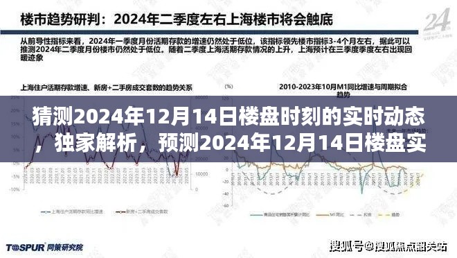 独家预测，揭秘2024年12月14日楼盘实时动态全面评测与实时动态猜测分析