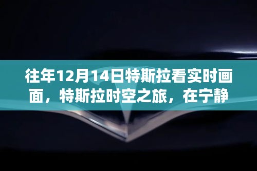 特斯拉时空之旅，与自然美景的实时对话日——12月14日的独特体验