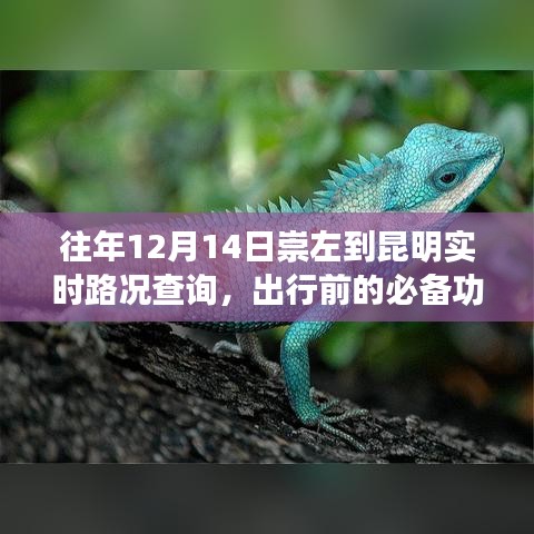 往年12月14日崇左至昆明实时路况查询，出行前的必备准备