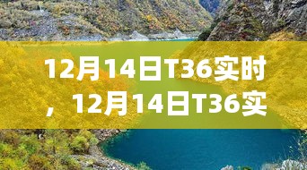 12月14日T36实时，自然美景探索之旅，寻求内心平和与宁静的时刻