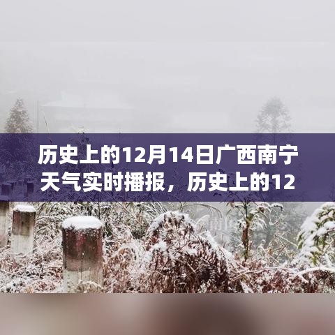 历史上的广西南宁12月14日天气实时播报，探寻冬日天气的变迁历程