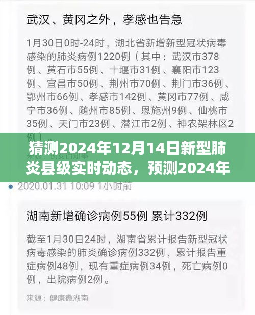 2024年12月14日新型肺炎县级实时动态展望，预测与猜测返回搜狐查看更多信息