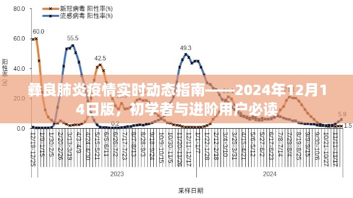 彝良肺炎疫情实时动态指南（初学者与进阶用户必读）——2024年12月版