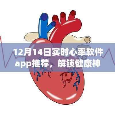 最新实时心率监测软件app推荐，掌控你的心跳健康神器