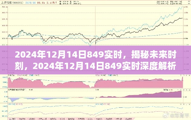 2024年12月16日 第29页