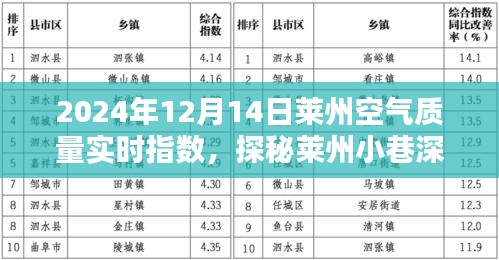 莱州空气质量实时报告，小巷深处的绿色呼吸与独特小店的奇妙邂逅（2024年12月14日）