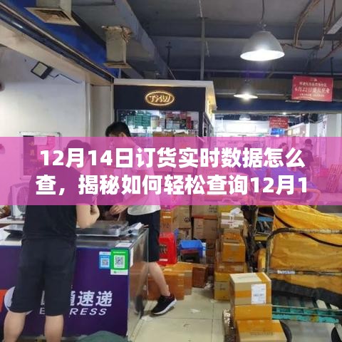 揭秘，如何轻松查询12月14日订货实时数据？一站式指南助你轻松掌握订单动态。