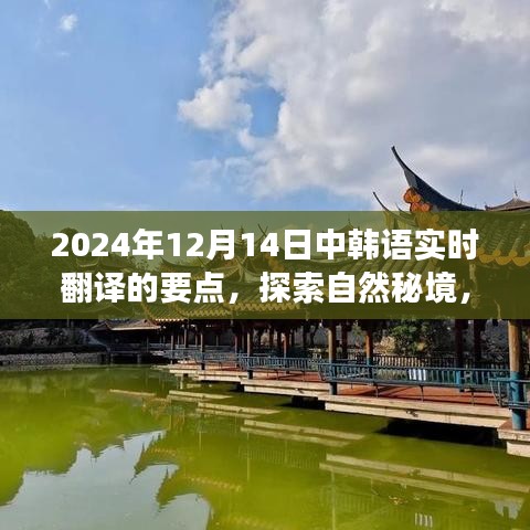 中韩语实时翻译下的心灵之旅，探索自然秘境与语言桥梁的魅力（2024年12月14日）