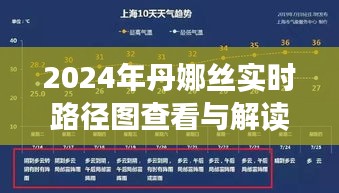 2024年丹娜丝实时路径图查看与解读指南，适合初学者与进阶用户