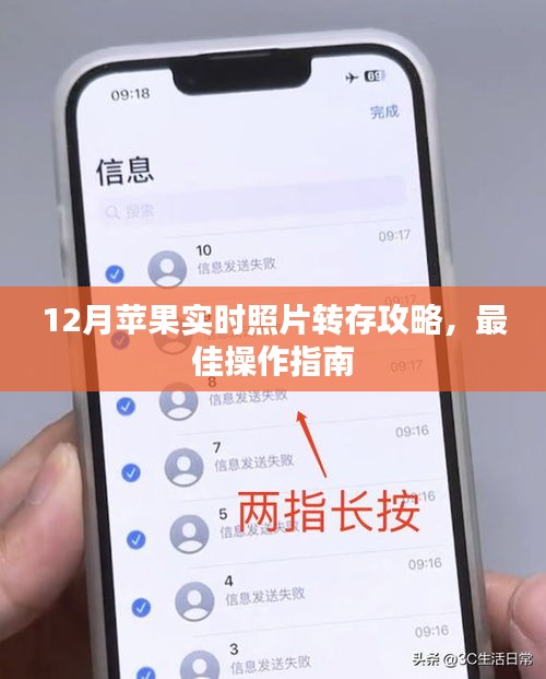 12月苹果实时照片转存攻略，操作指南大全