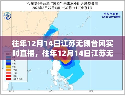 2024年12月16日 第25页