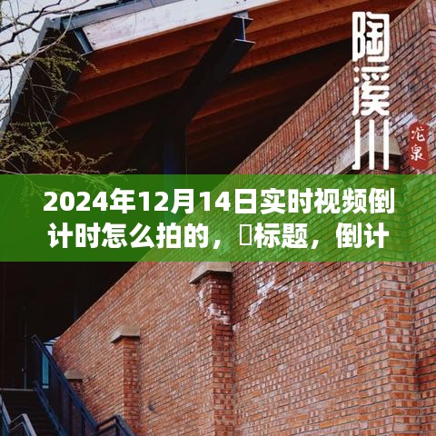 倒计时狂欢！探寻特色小店，2024年12月14日实时视频盛宴