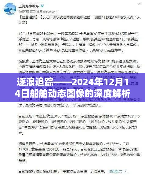 逐浪追踪，船舶动态图像深度解析报告（附日期，2024年12月14日）