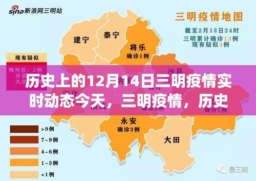 2024年12月16日 第24页