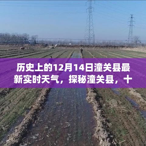 探秘潼关县老街巷，十二月十四日温暖风味小店与实时天气播报