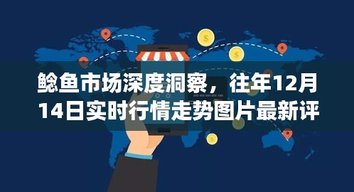 鲶鱼市场深度洞察，最新实时行情走势图片及评测报告（往年12月14日）