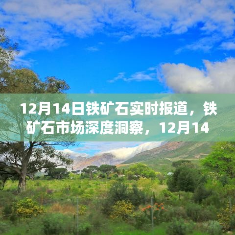 12月14日铁矿石市场深度洞察与实时报道评测