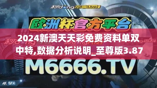 2024新澳天天彩免费资料单双中特,数据分析说明_至尊版3.876