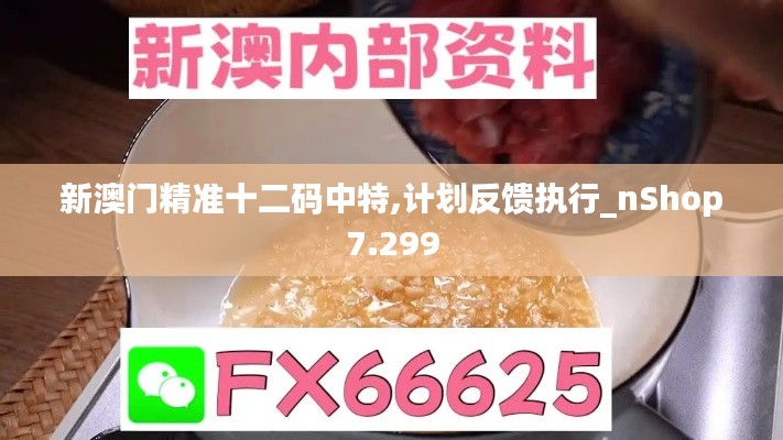 新澳门精准十二码中特,计划反馈执行_nShop7.299