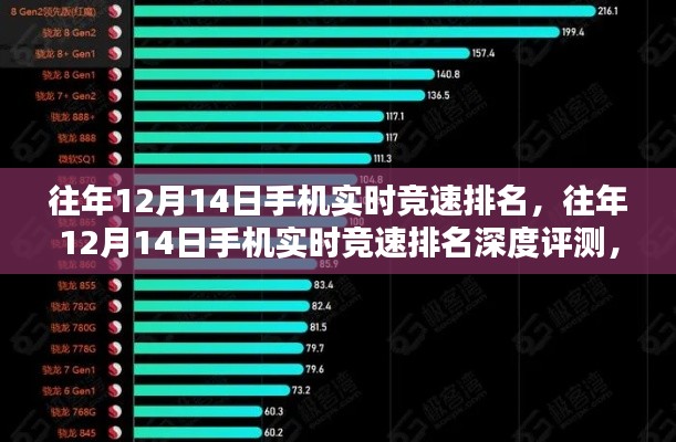 2024年12月16日 第14页