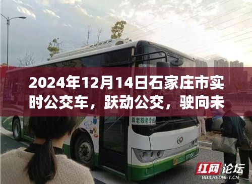 跃动公交，驶向未来的自信与成就——石家庄公交之旅纪实（2024年12月14日）