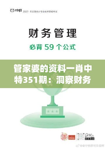 管家婆的资料一肖中特351期：洞察财务管理的精髓