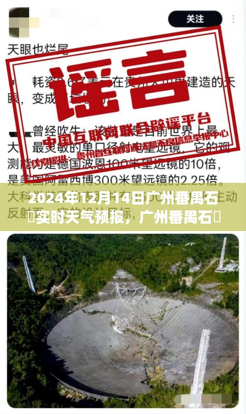 广州番禺石碁天气预报背后的故事，温情与实时信息的交汇点（2024年12月14日）