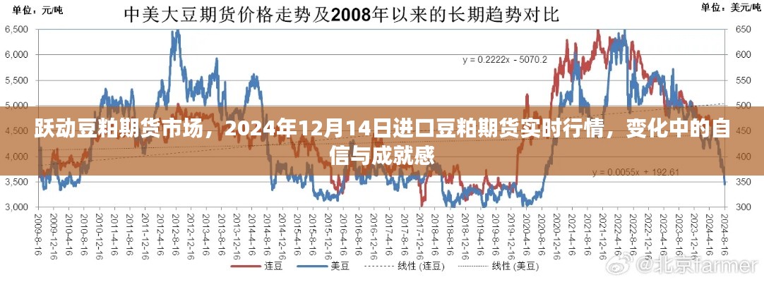 跃动豆粕期货市场，进口豆粕期货实时行情与变化中的自信与成就感