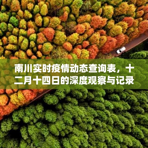 南川实时疫情动态观察记录表，十二月十四日的深度观察与实时数据更新