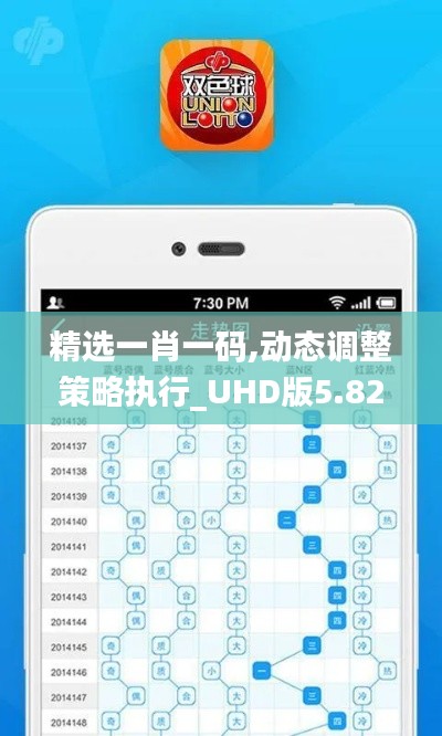 精选一肖一码,动态调整策略执行_UHD版5.829
