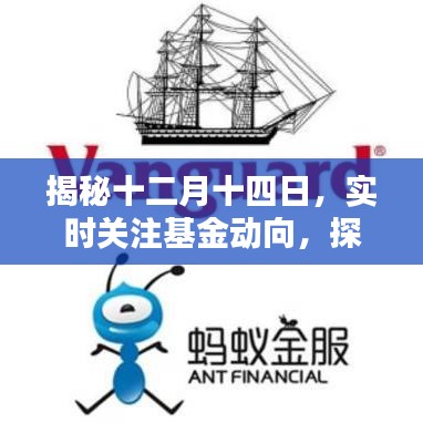 揭秘十二月十四日基金动向，探寻投资领域新纪元开启时刻