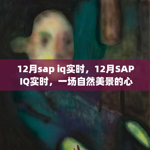 SAP IQ实时，自然美景的心灵之旅探索