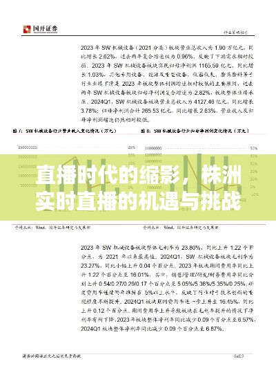 直播时代的缩影，株洲实时直播的机遇与挑战分析（以2024年12月14日为例）