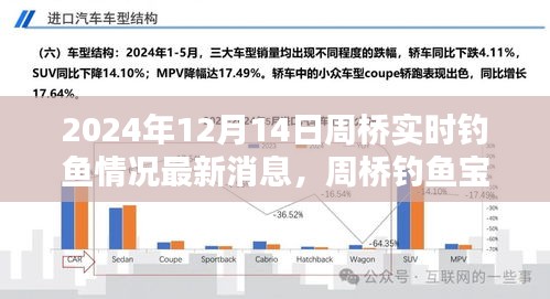 周桥钓鱼宝典，掌握最新钓鱼技巧与实时情况