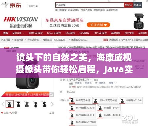 海康威视摄像头下的自然之美，Java实时预览启程心灵之旅