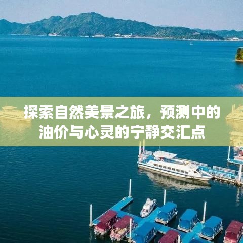 自然探索之旅，油价预测与心灵宁静的交汇点