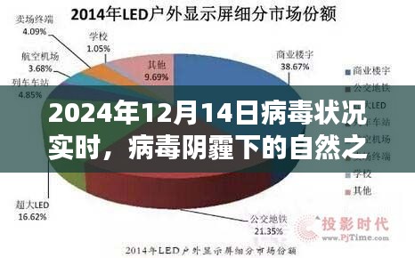 病毒阴霾下的心灵净土探索之旅，启程于2024年病毒状况实时报告