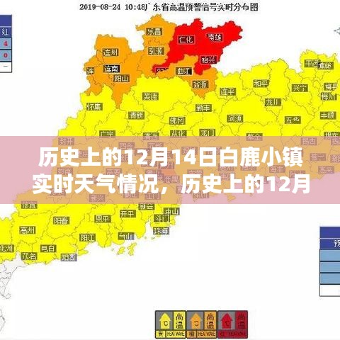 2024年12月16日 第2页